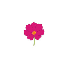 Colorful flower vector 