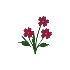 Colorful flower vector 
