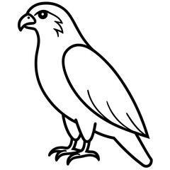 Modern Hawk Line Art for Vector Design