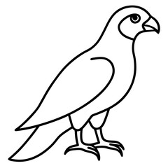 Modern Hawk Line Art for Vector Design