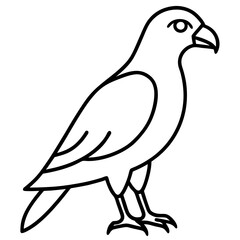 Modern Hawk Line Art for Vector Design