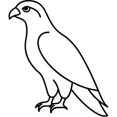 Modern Hawk Line Art for Vector Design