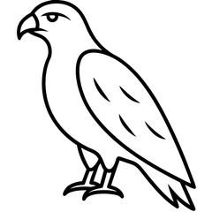 Modern Hawk Line Art for Vector Design