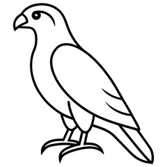 Modern Hawk Line Art for Vector Design