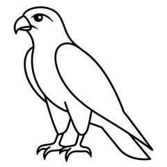 Modern Hawk Line Art for Vector Design