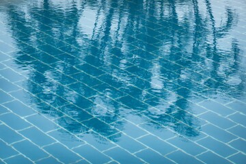 Swimming pool with blue water and palm trees reflected on surface