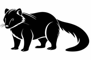 binturong sihouette black vector