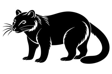 binturong sihouette black vector