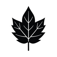 Winter Fall Leaf Stencil Icon Vector Illustration