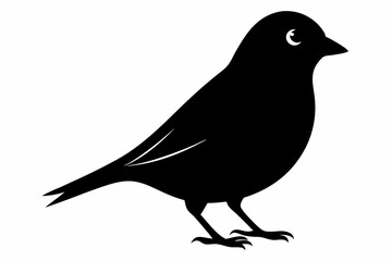 Obraz premium canary sihouette black vector