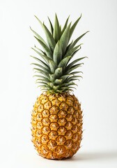 Pineapple Still Life Isolated on White Background