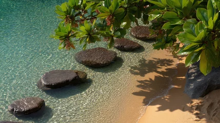 Stepping stones in clear water near sandy beach, shaded by tropical foliage, creating a tranquil and serene scene, suggestive of peace, relaxation, and escape