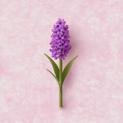 hyacinth with vertical texture pattern,