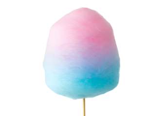 Cotton candy with pink and blue gradient on a stick, isolated treat confection