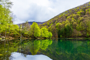 Lake of Bethmale in spring, surrounded by a lush green forest reflected in the green waters of the lake