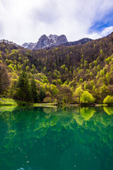 Lake of Bethmale in spring, surrounded by a lush green forest reflected in the green waters of the...