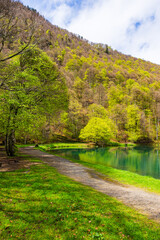 Lake of Bethmale in spring, surrounded by a lush green forest reflected in the green waters of the...