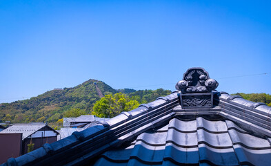滋賀県近江八幡市の八幡山が見える風景