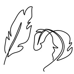 vector illustration of a bird feathers