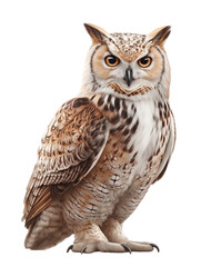 Obraz premium A realistic and detailed illustration of a majestic owl with sharp, piercing eyes, perched confidently. Concept of wisdom, nature, and night creatures.