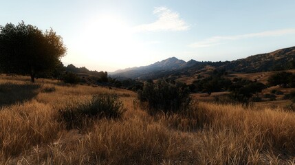 Golden field vista, sunrise, valley, mountains