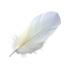 White Feather Closeup Image of a Single Soft Feather on transparent background