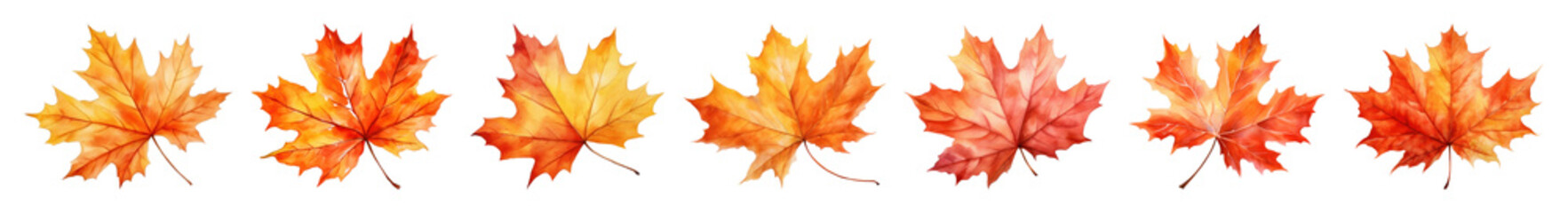 Obraz premium PNG Vibrant autumn maple leaves illustration, element set on transparent background