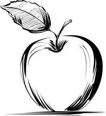 Black and white sketch of an apple with a leaf, line art illustration. Vector illustration