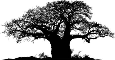 Silhouette of a majestic baobab tree with intricate branches. Vector illustration