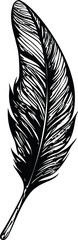 Obraz premium Black and white feather silhouette with detailed texture design. Vector illustration