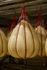 
classic provolone mandarin, stringy cheese made from cow's milk, in the maturation warehouse