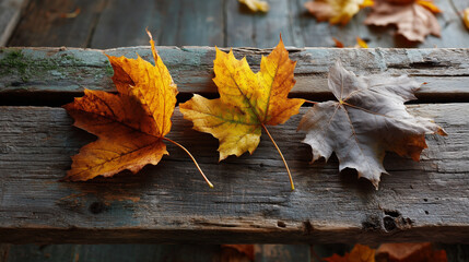 A warm autumn background for seasonal promotions, nature, and thanksgiving themes