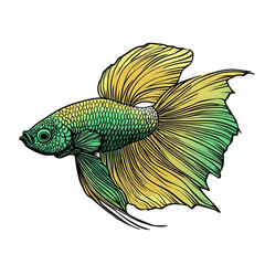 Fototapeta premium stylized illustration of a colorful fish. showcasing intricate details in its scales and fins the fish is primarily green with yellow accents. emphasizing its vibrant appearance the design highlights
