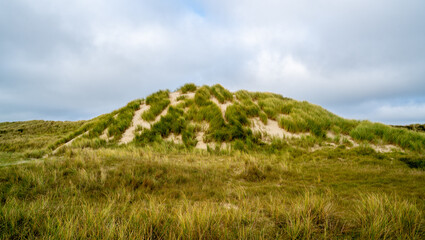 Dune on the coast of North sea at Vlieland island, Netherlands
