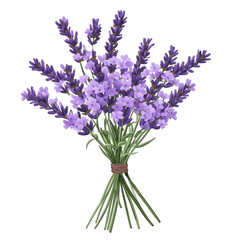 Naklejka premium a vibrant bouquet of lavender flowers. showcasing their rich purple hues and delicate petals. tied together with a natural-looking stem beauty of nature and can be used for decorative. aromatic. or w