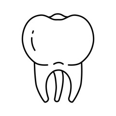 Molar