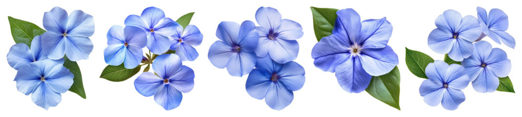 PNG Vibrant blue floral arrangement, elements on transparent background