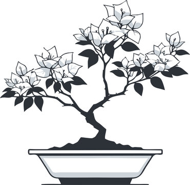 black and white bonsai tree clip art preview