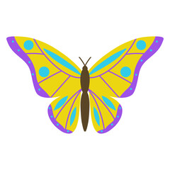 Elegant butterfly illustration, hand drawn yellow butterfly with dots for cards, designs, postcards, icons, etc