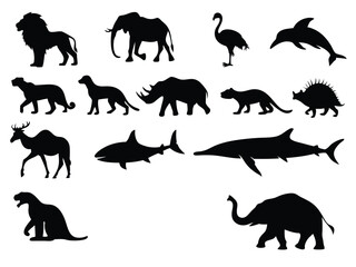 Animal Silhouettes Vector | Lion, Elephant, Shark, Dinosaur, Dolphin, Rhino Clipart