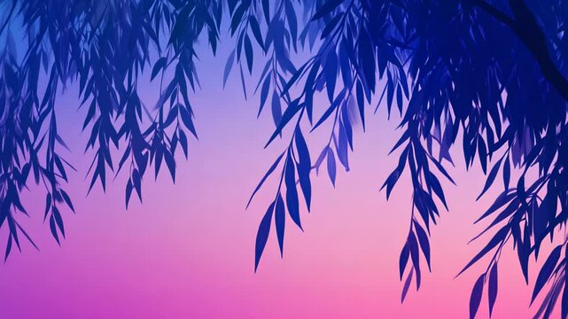 Silhouette willow leaves, twilight, vibrant colors