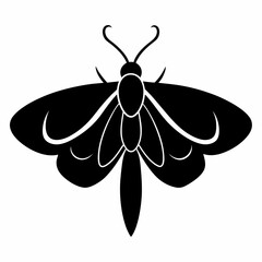 Stylized Moth Silhouette in Vector Format