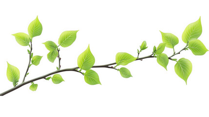 Obraz premium branch with vibrant green leaves. showcasing a fresh and lively appearance the leaves vary in size and shape. contributing to a natural and organic aesthetic this illustration could be used in designs