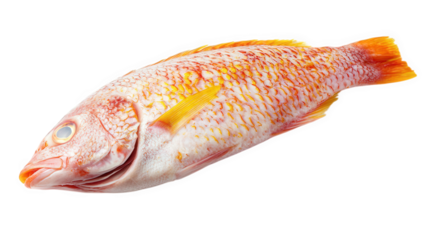 whole fish. specifically a red snapper. displayed on a white background the fish showcases vibrant colors with a pinkish-red body and yellow accents. making it visually appealing it could be used for