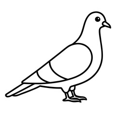 Stylized Pigeon Line Art Vector