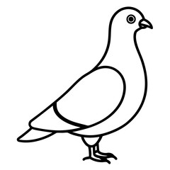 Stylized Pigeon Line Art Vector