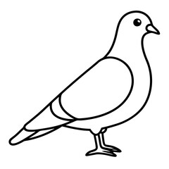 Stylized Pigeon Line Art Vector
