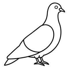 Stylized Pigeon Line Art Vector
