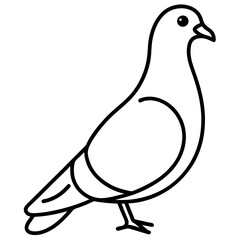 Stylized Pigeon Line Art Vector