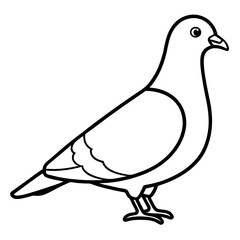 Stylized Pigeon Line Art Vector
